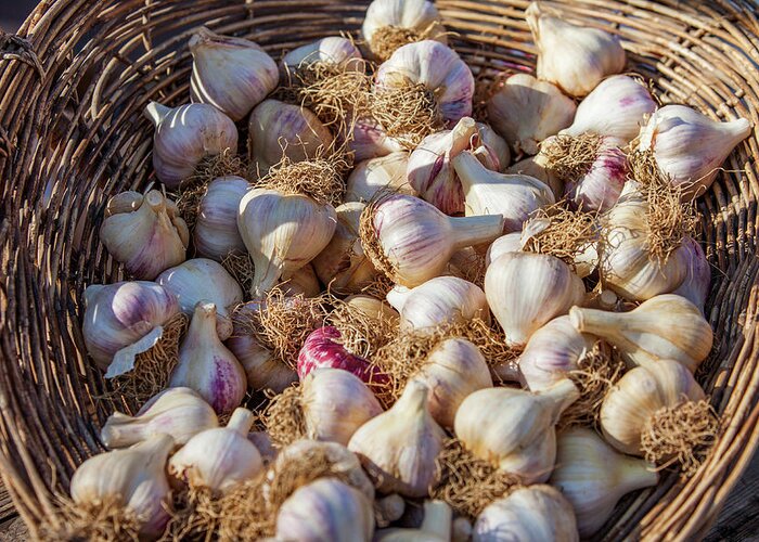 Garlic Greeting Card featuring the photograph Basket of Garlic by Todd Klassy