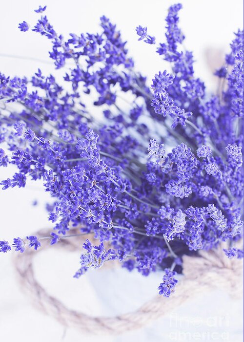 Flower Greeting Card featuring the photograph Basket of Lavender by Stephanie Frey