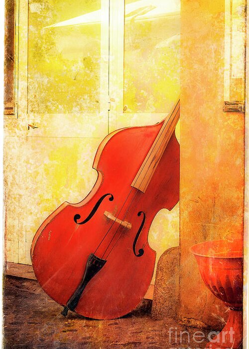 Forum Greeting Card featuring the photograph Bass Violin by Craig J Satterlee