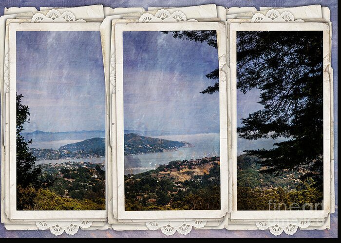 Bay Greeting Card featuring the photograph Bay Area by Judy Wolinsky