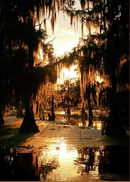 Fire Greeting Card featuring the photograph Bayou Fire by Nicholas Blackwell