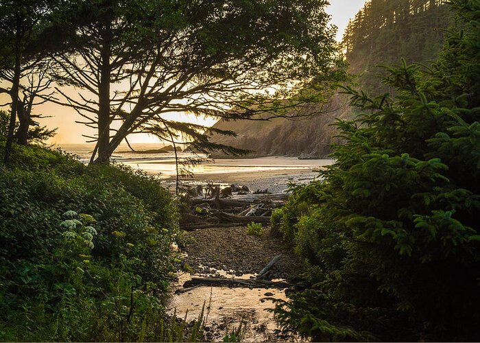 Ecola State Park Greeting Card featuring the photograph Beach Trail by Kristopher Schoenleber