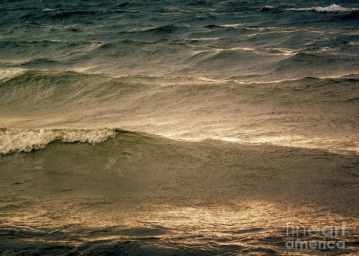 Water Greeting Card featuring the photograph Beach Waves in the Sun by Heiko Koehrer-Wagner