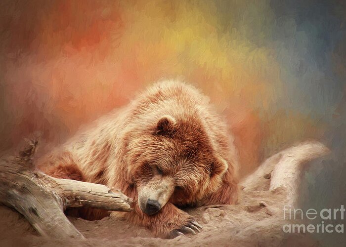 Bear Greeting Card featuring the photograph Bearly Asleep by Sharon McConnell