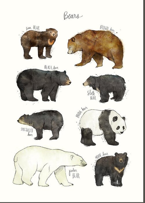 Bear Greeting Card featuring the drawing Bears by Amy Hamilton