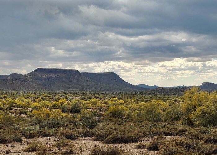 Southwestern Greeting Card featuring the photograph Beautiful Arizona Vista by Gordon Beck