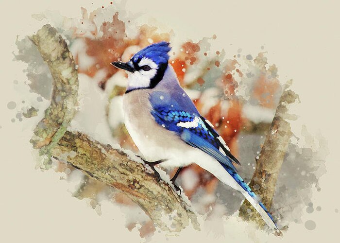 Blue Jay Greeting Card featuring the mixed media Beautiful Blue Jay - Watercolor Art by Christina Rollo