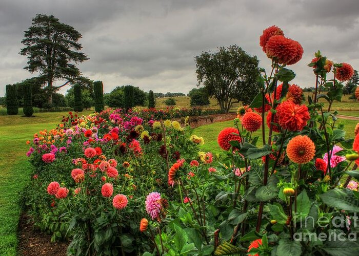 Beautiful Greeting Card featuring the photograph Beautiful Garden in HDR by Vicki Spindler
