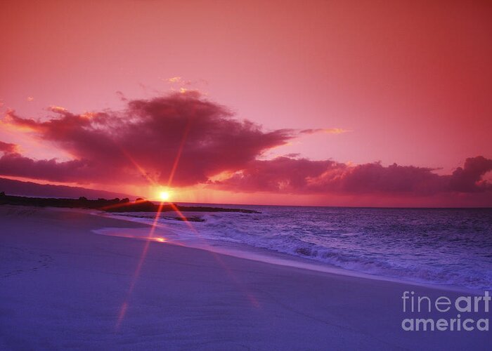 Beach Greeting Card featuring the photograph Beautiful Pink Sunset by Vince Cavataio - Printscapes