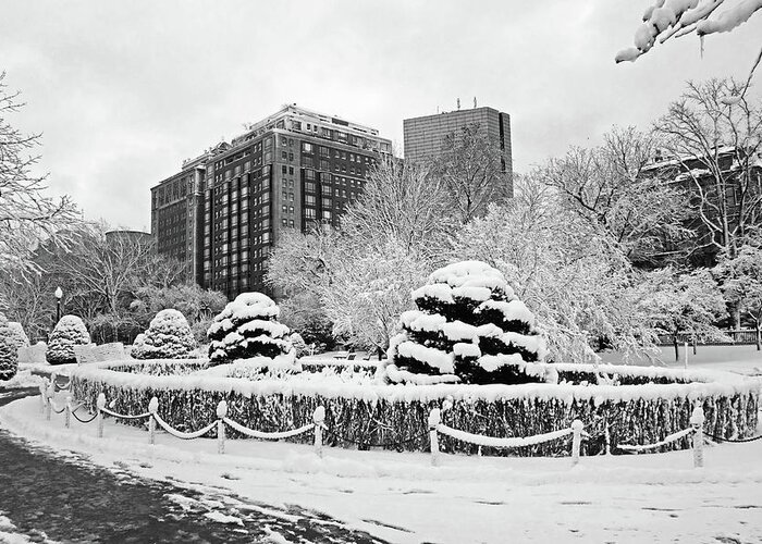 Boston Greeting Card featuring the photograph Beautiful Winter Wonderland in the Boston Public Garden Boston MA Wonderland Black and White by Toby McGuire