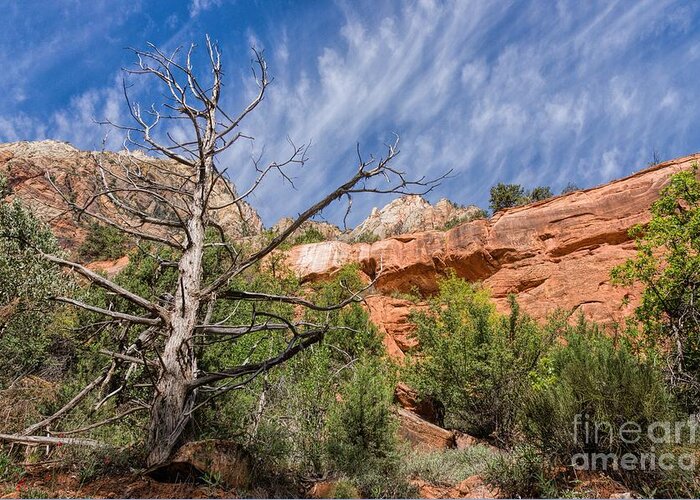 Utah Greeting Card featuring the photograph Beautiful Zion by Peggy Hughes