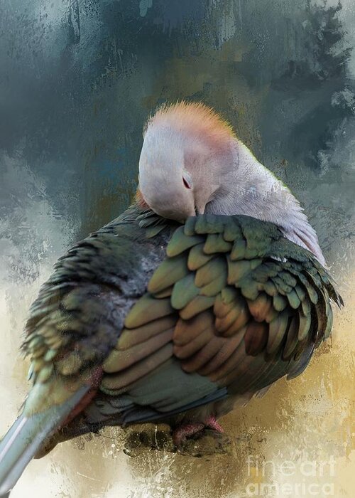 Green Imperial Pigeon Greeting Card featuring the photograph Beauty by Eva Lechner