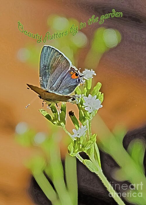 Beauty Greeting Card featuring the photograph Beauty Flutters By by Barbara Dean