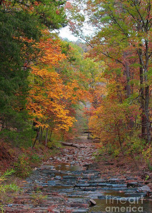 Bridge Greeting Card featuring the photograph Autumn Creek by Jerry Bunger