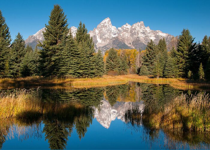 Grand Teton Greeting Card featuring the photograph Beaver Pond at Schwabacher Landing by Steve Stuller