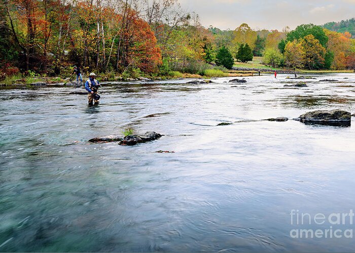 Landscape Greeting Card featuring the photograph Beaver's Bend Fly Fishing by Tamyra Ayles
