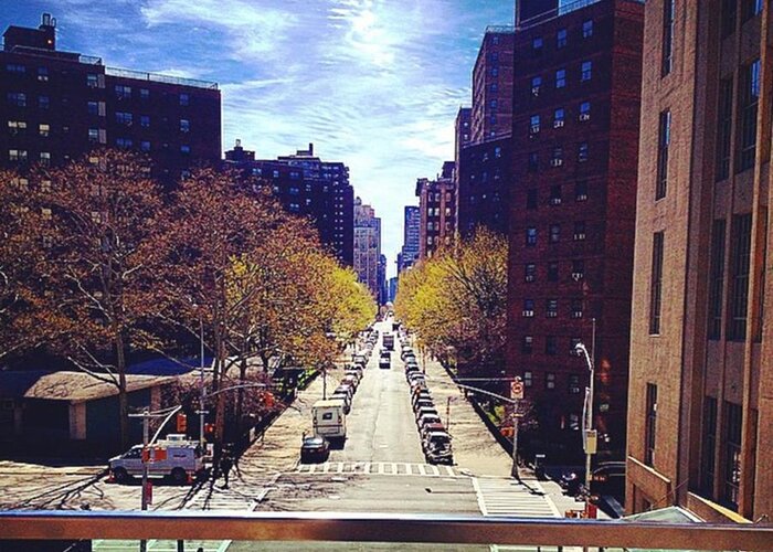 Nyc Greeting Card featuring the photograph Highline Park by Mckenzie Weldon