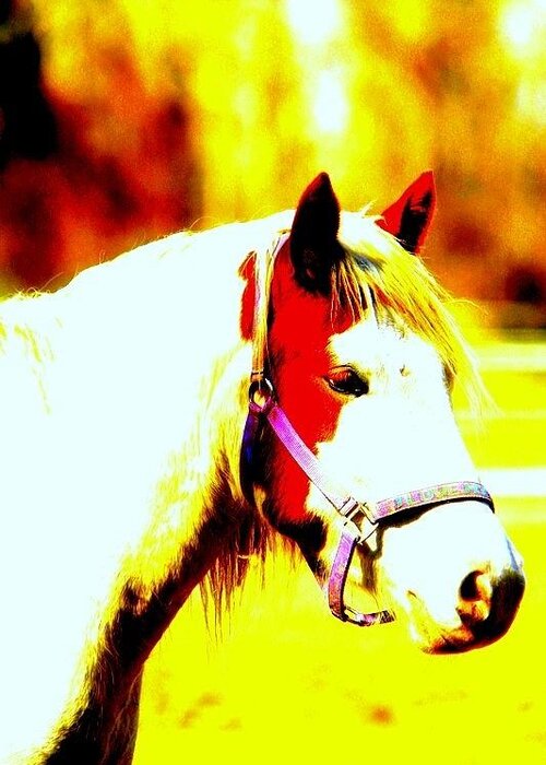 Horse.rescue Greeting Card featuring the photograph Bedahbeen by Rabiah Seminole