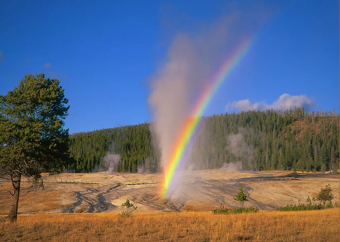Beehive Geyser Greeting Card featuring the photograph Beehive Geyser Rainbow by Mark Miller