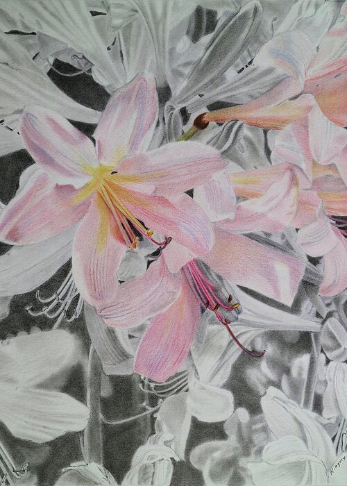 Flowers Greeting Card featuring the drawing Belladonna Lilies by Scott Kingery
