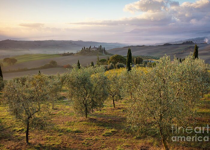 Tuscany Greeting Card featuring the photograph Belvedere Morning II by Brian Jannsen