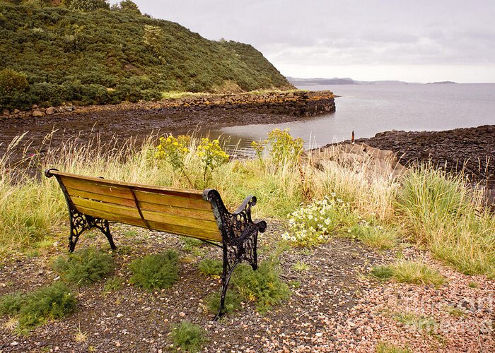 Bench Greeting Card featuring the photograph Bench at the bay by Elena Perelman