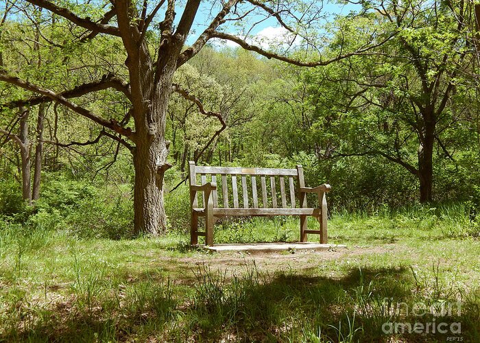 Photography Greeting Card featuring the photograph Bench In Nature by Phil Perkins