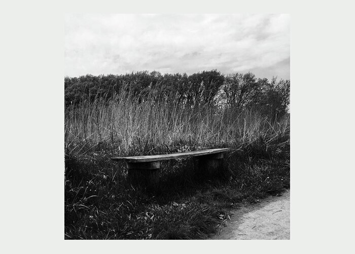 Black And White Greeting Card featuring the photograph Bench In The Prairie by Frank J Casella