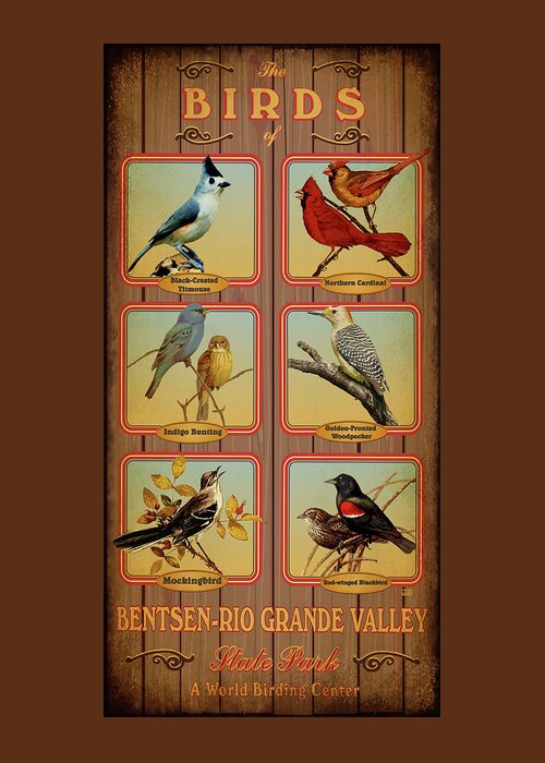Bentsen-rio Grande Valley Greeting Card featuring the digital art Bentsen-Rio Grande Valley State Park by Jim Sanders