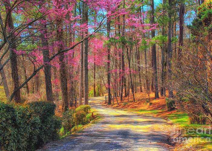 Spring Greeting Card featuring the photograph Berry's Back Road by Geraldine DeBoer