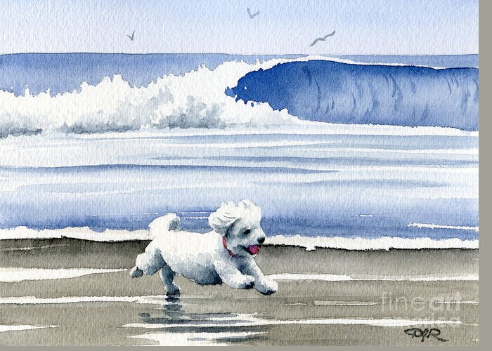 Bichon Greeting Card featuring the painting Bichon Frise At The Beach by David Rogers