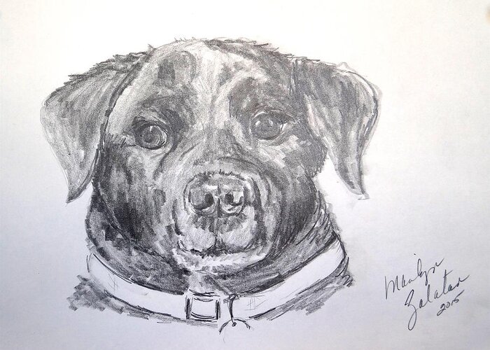 Dog Greeting Card featuring the drawing Big Black Dog by Marilyn Zalatan