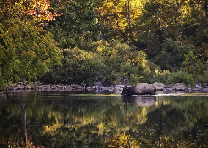 Fall Color Greeting Card featuring the photograph Big Bull in Buffalo National River Fall Color by Michael Dougherty