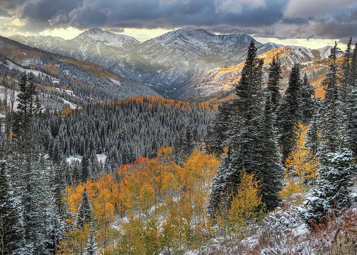 Utah Greeting Card featuring the photograph Big Cottonwood Canyon Early Snow and Fall Color by Brett Pelletier