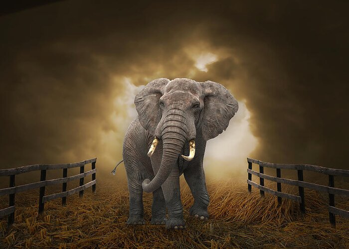 Elephant Greeting Card featuring the mixed media Big Entrance Elephant Art by Marvin Blaine