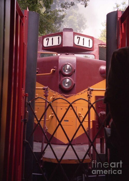 Trains Greeting Card featuring the photograph Big Red by Richard Rizzo