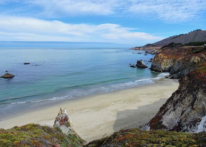 Big Sur Greeting Card featuring the photograph Big Sur Beach by Connor Beekman