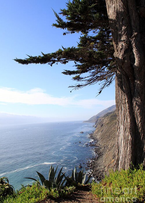 Coast Greeting Card featuring the photograph Big Sur Coastline by Linda Woods