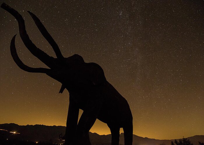 Anza Borrego Sculptures Greeting Card featuring the photograph Big things by Kunal Mehra