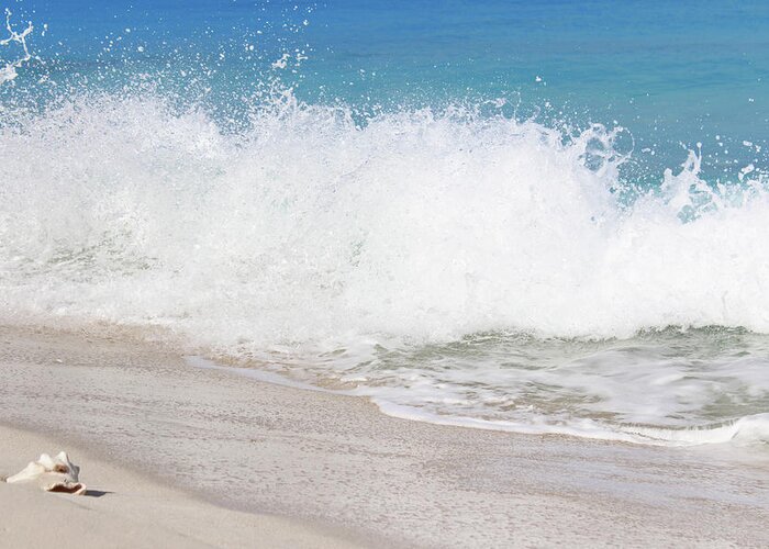Wave Greeting Card featuring the photograph Bimini Wave Sequence 3 by Samantha Delory
