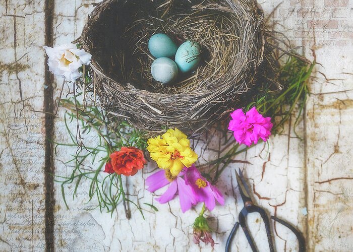 Bird Nest With Blue Bird Eggs Greeting Card featuring the photograph Bird Nest With Blue Bird Eggs Beauty by Anna Louise