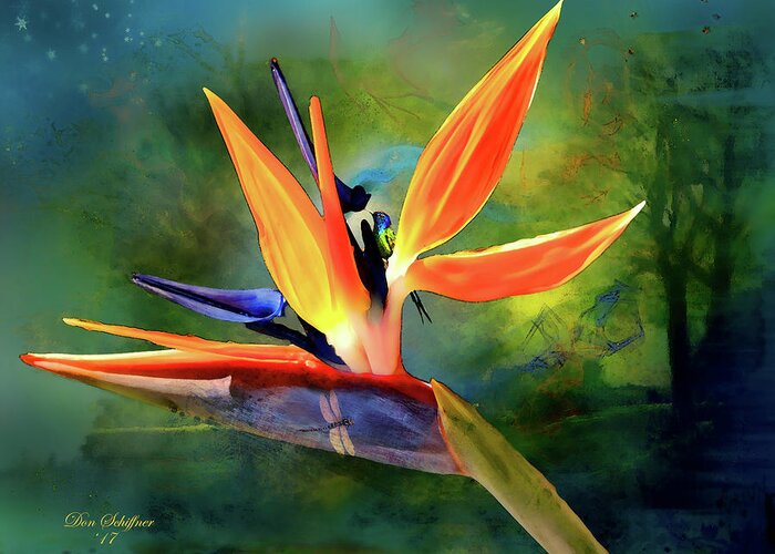 Flower Greeting Card featuring the digital art Bird of Paradise by Don Schiffner