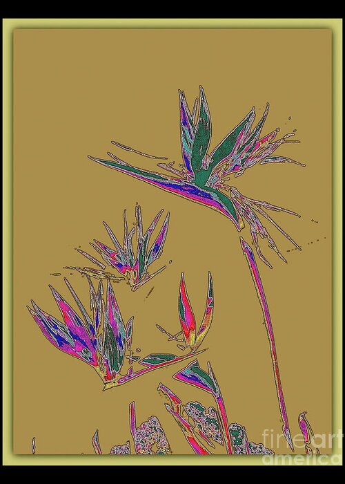 Floral Greeting Card featuring the photograph Bird of Paradise by Jodie Marie Anne Richardson Traugott     aka jm-ART