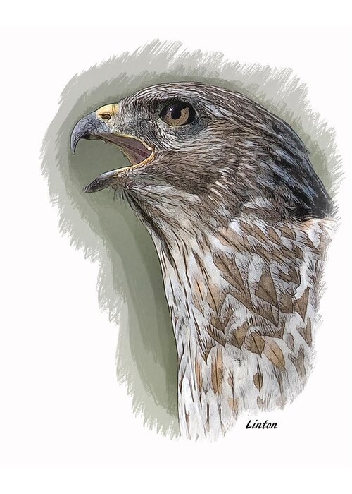 Hawk Greeting Card featuring the digital art Bird Of Prey by Larry Linton