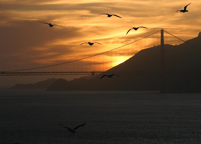 Golden Gate Bridge Greeting Card featuring the photograph Birds by the Bay by Jeff Floyd CA