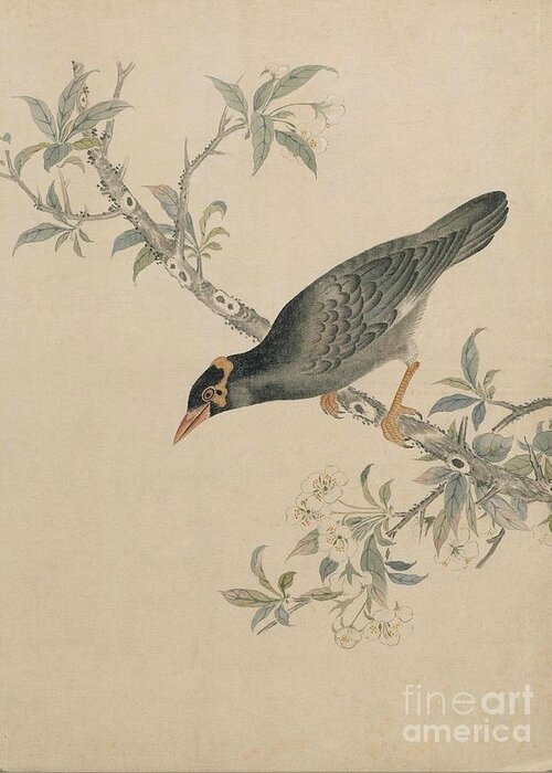 Pigeon Greeting Card featuring the painting Birds of Japan in the 19th century by Celestial Images