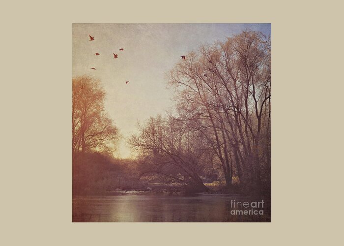 Silhouetted Birds Greeting Card featuring the photograph Birds take flight over lake on a winters morning by Lyn Randle
