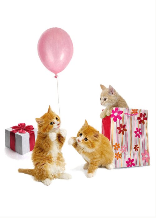 Balloon Greeting Card featuring the digital art Birthday Kitties by Bob Nolin
