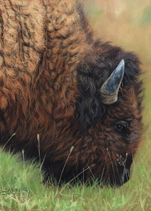 Bison Greeting Card featuring the painting Bison Grazing by David Stribbling