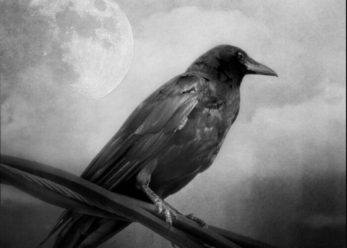 Crow Greeting Card featuring the photograph Black and White Gothic Crow Raven Art by Melissa Bittinger